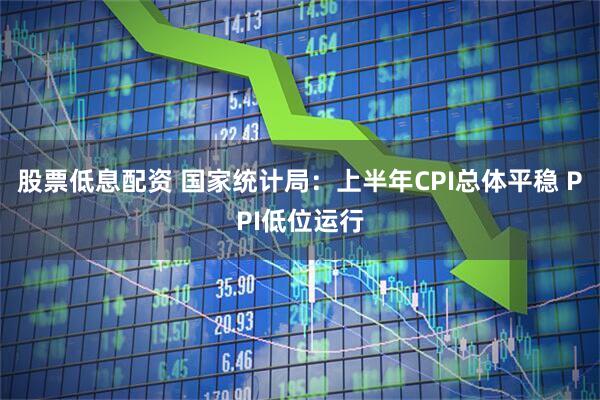 股票低息配资 国家统计局：上半年CPI总体平稳 PPI低位运行