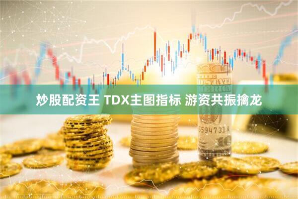 炒股配资王 TDX主图指标 游资共振擒龙